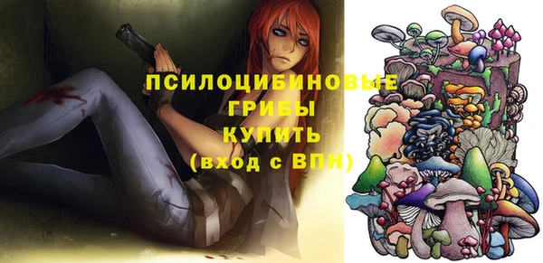 твердый Абинск